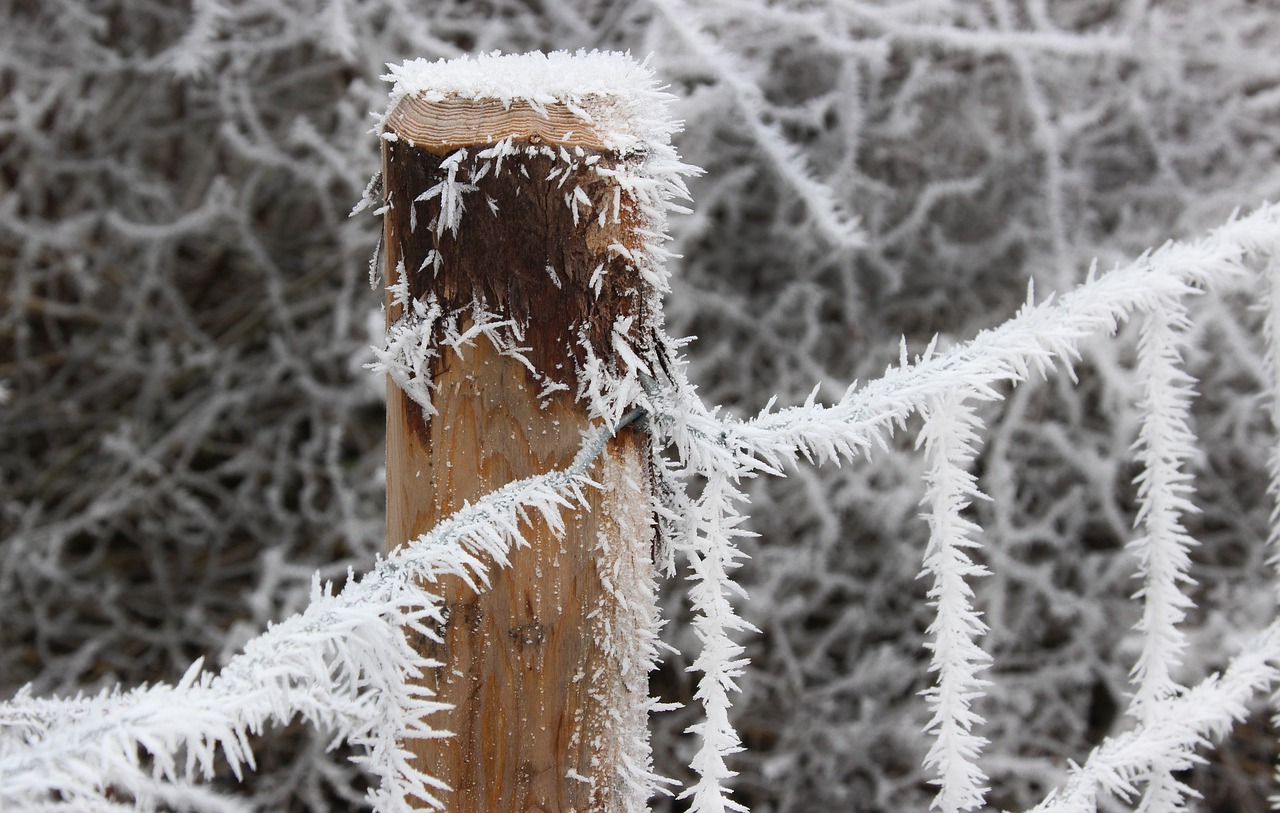 winter ice fence free photo