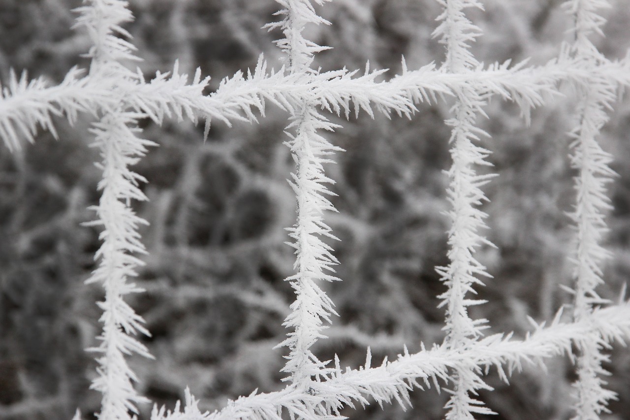 winter fence ice free photo