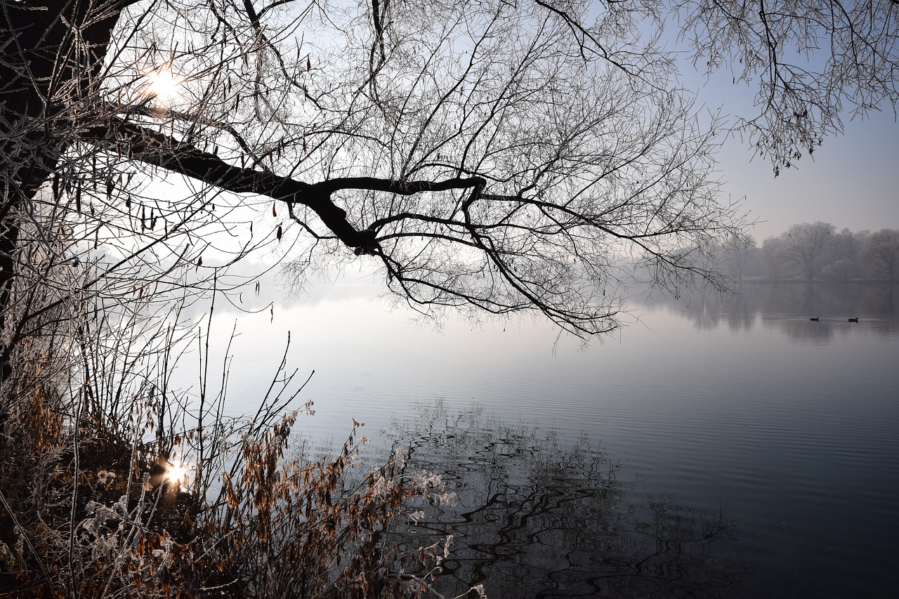 winter lake mood free photo