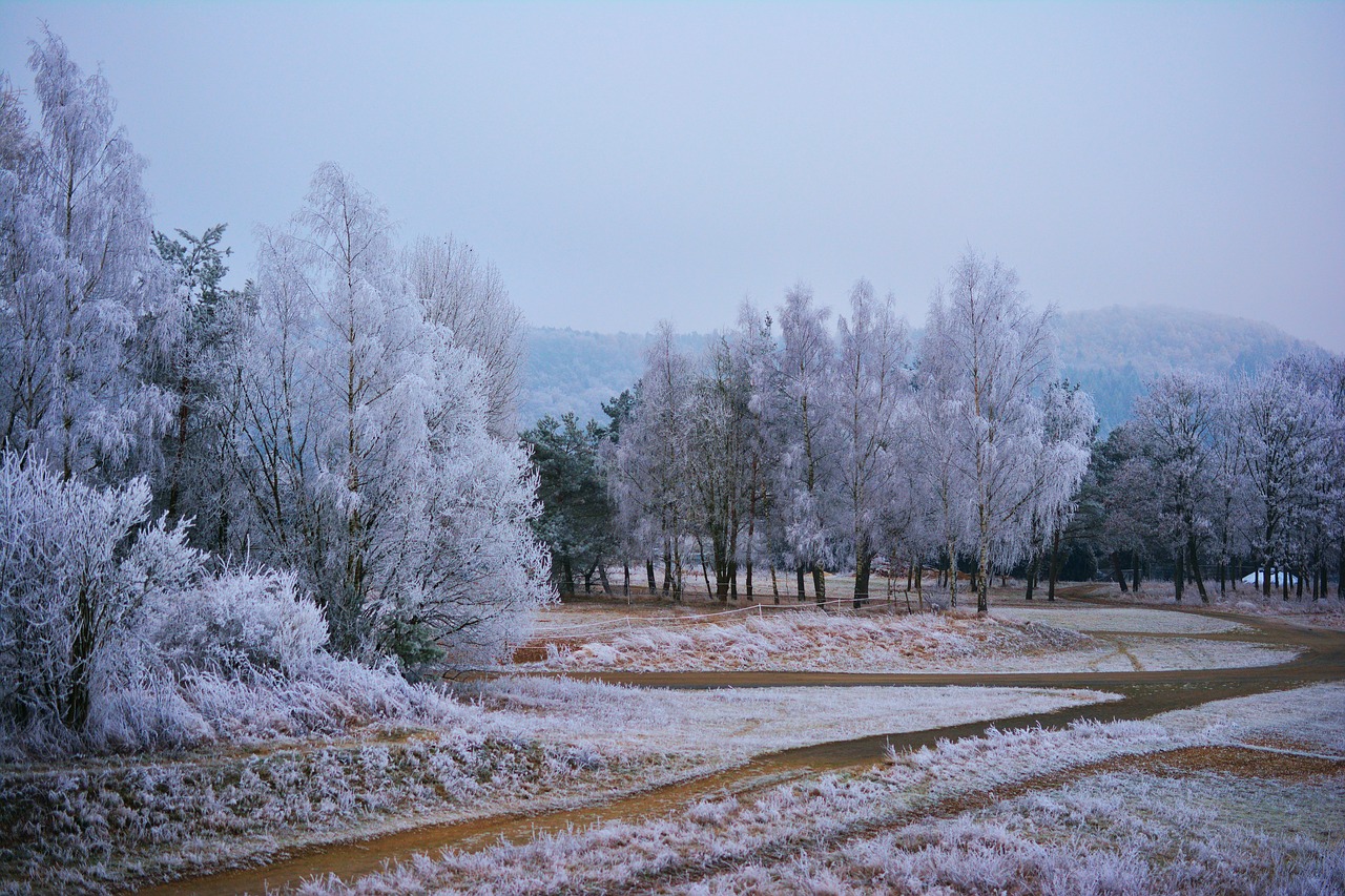 winter hoarfrost frost free photo