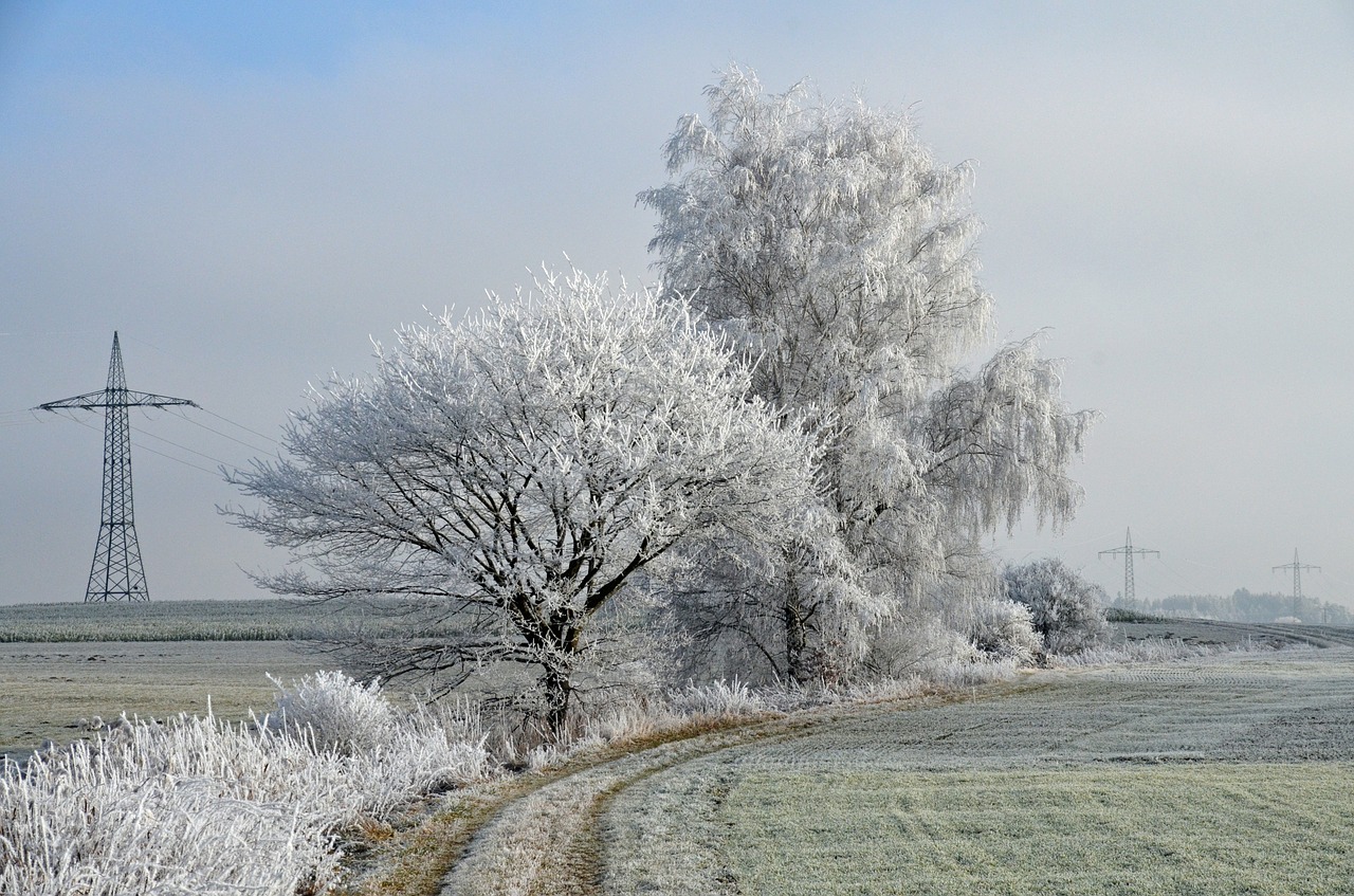 winter landscape wintry free photo