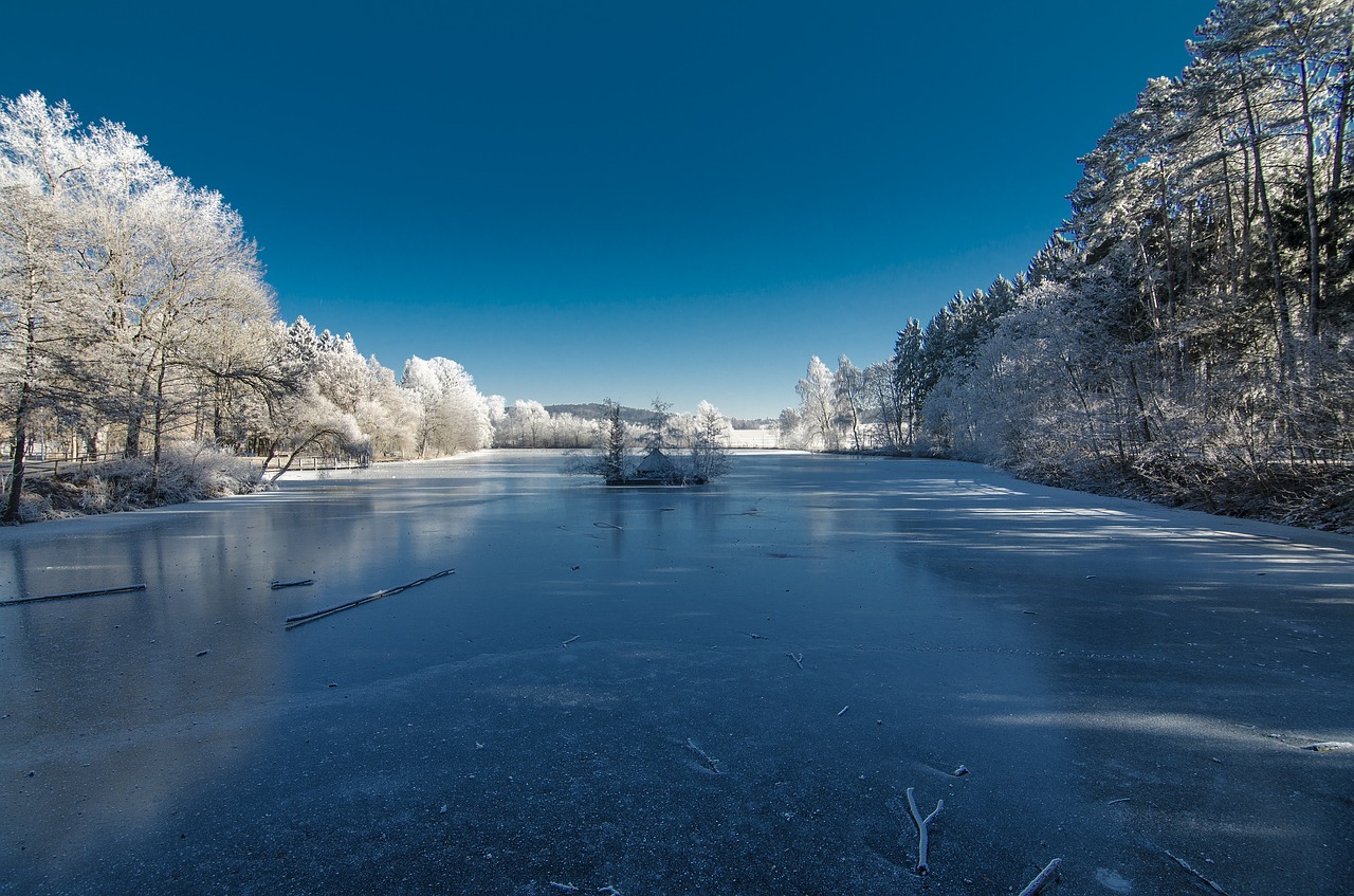 winter landscape snow free photo