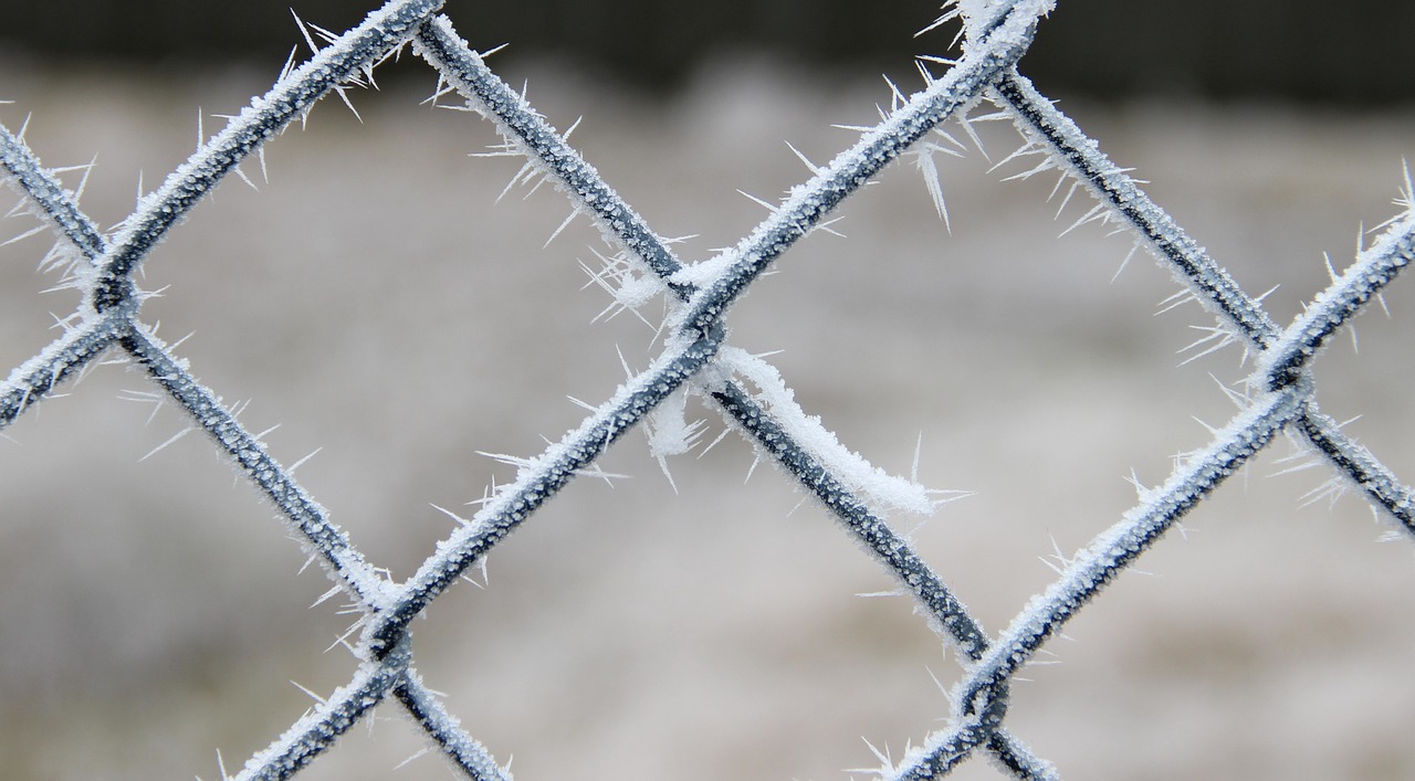 winter icy frost free photo