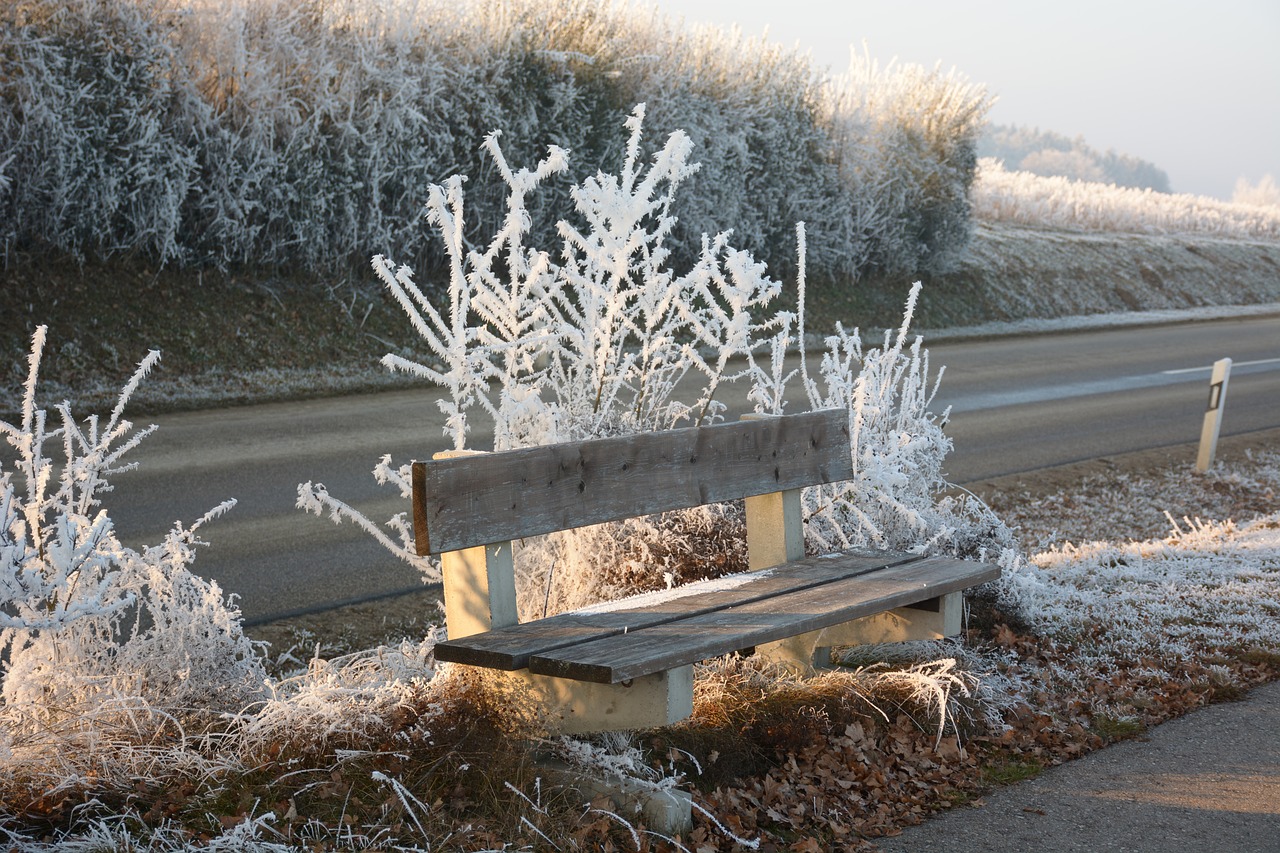 winter frost bench free photo