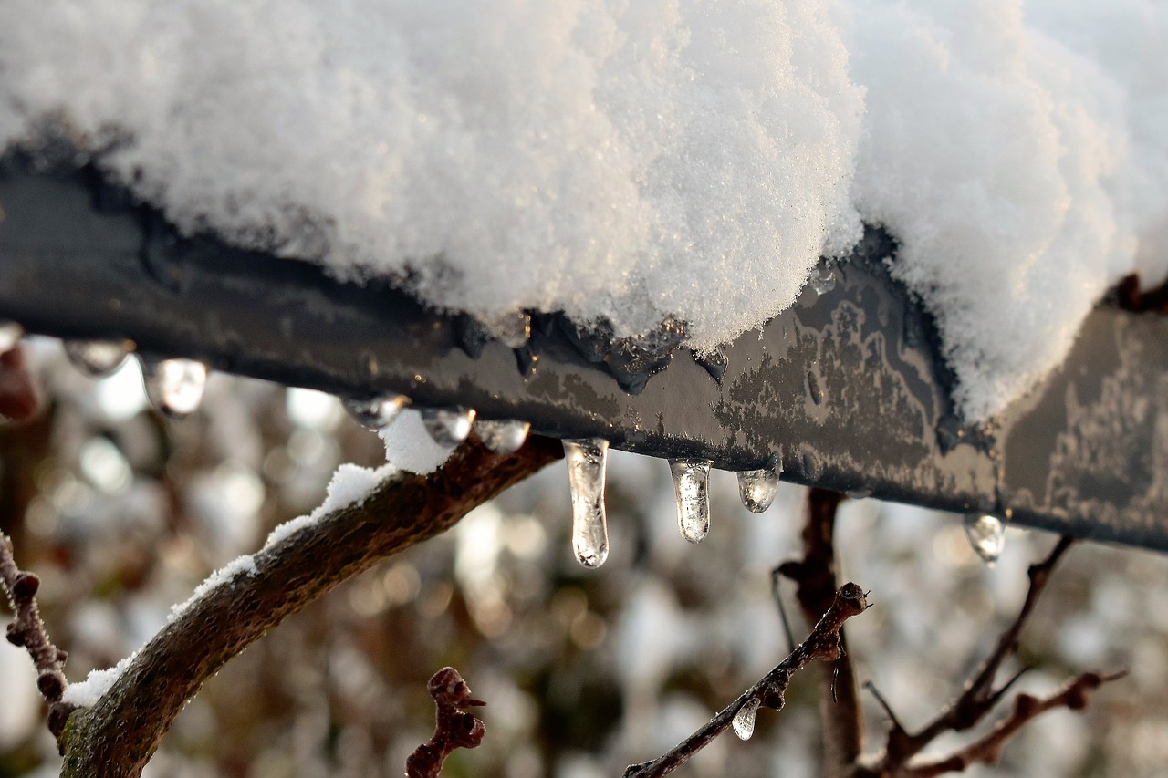 winter snow cold free photo