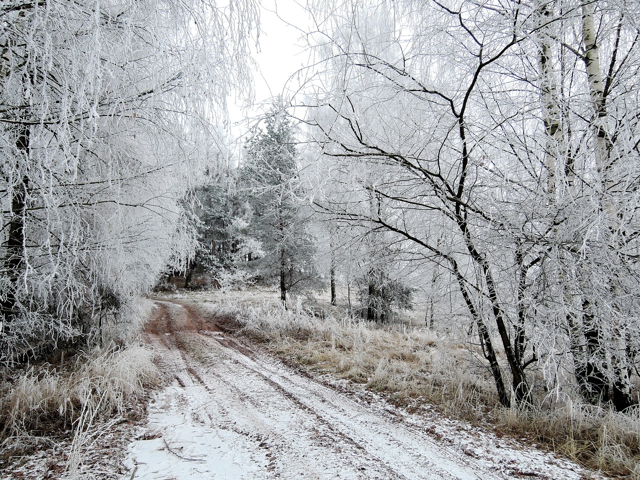 winter landscape view free photo