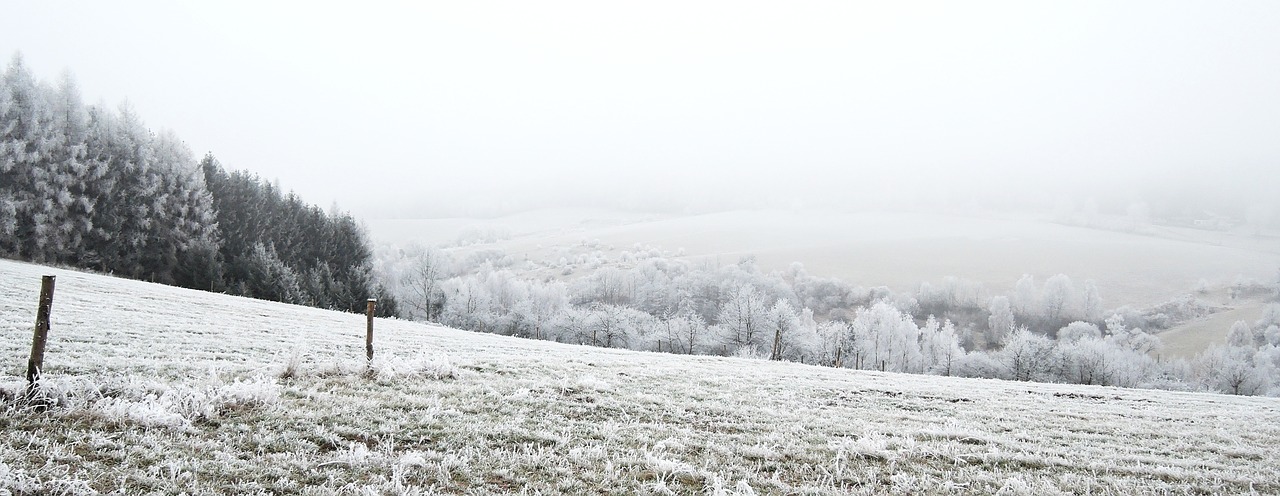 winter landscape view free photo