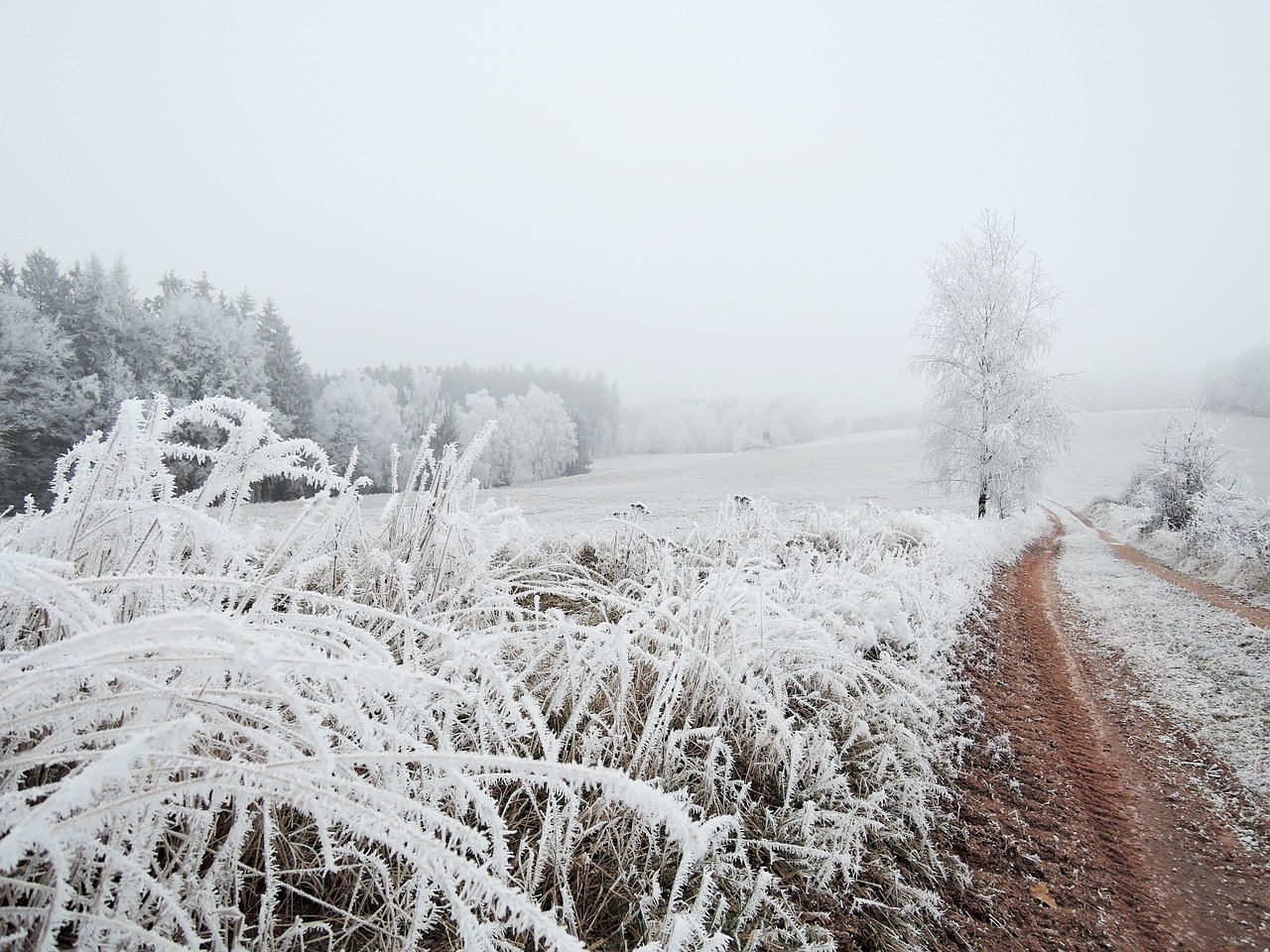 winter landscape view free photo