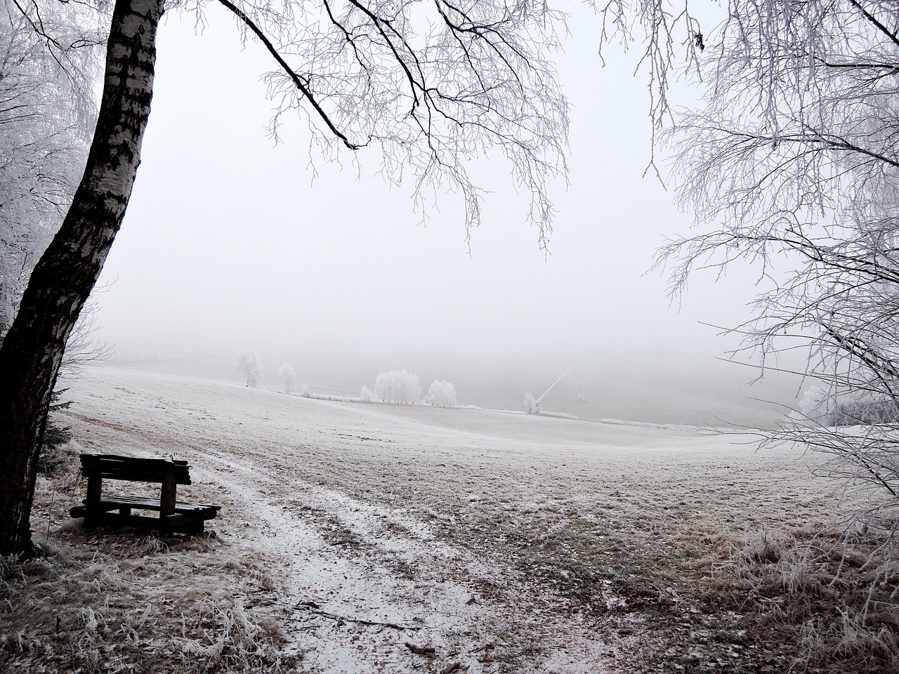 winter landscape view free photo