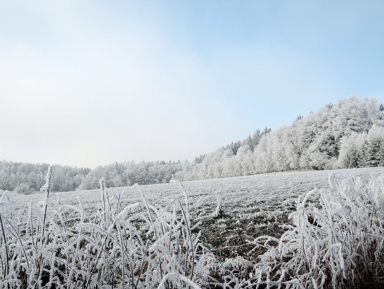 winter landscape view free photo