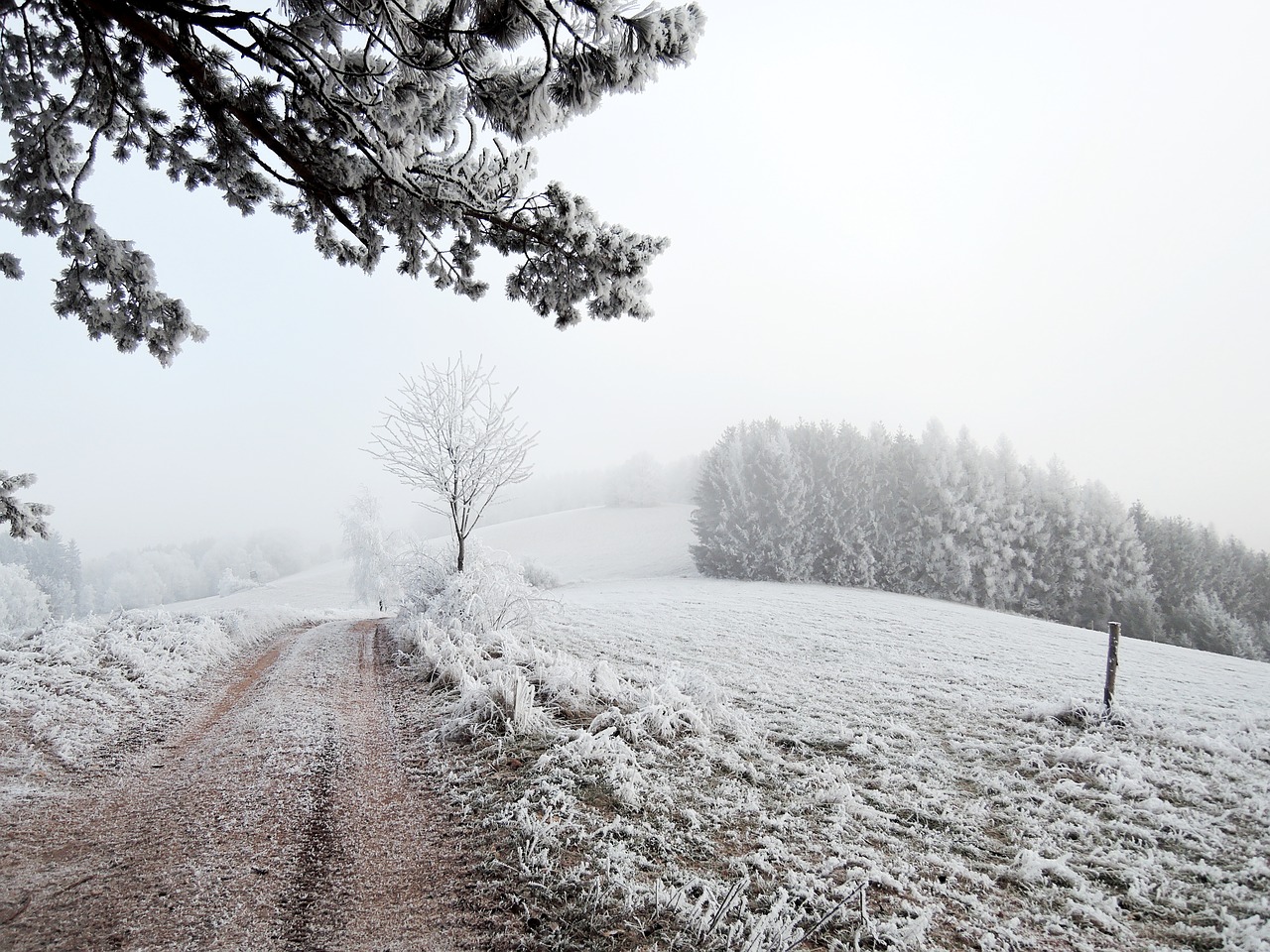 winter landscape view free photo