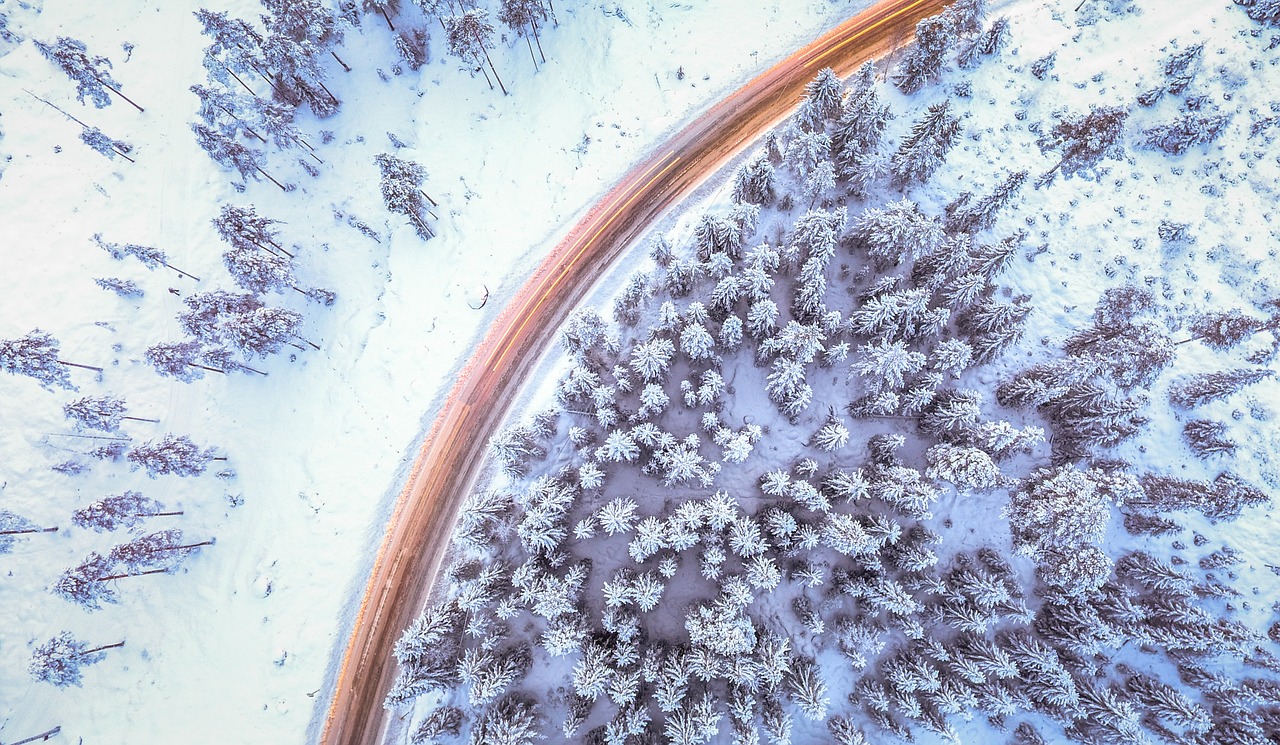 winter white road free photo