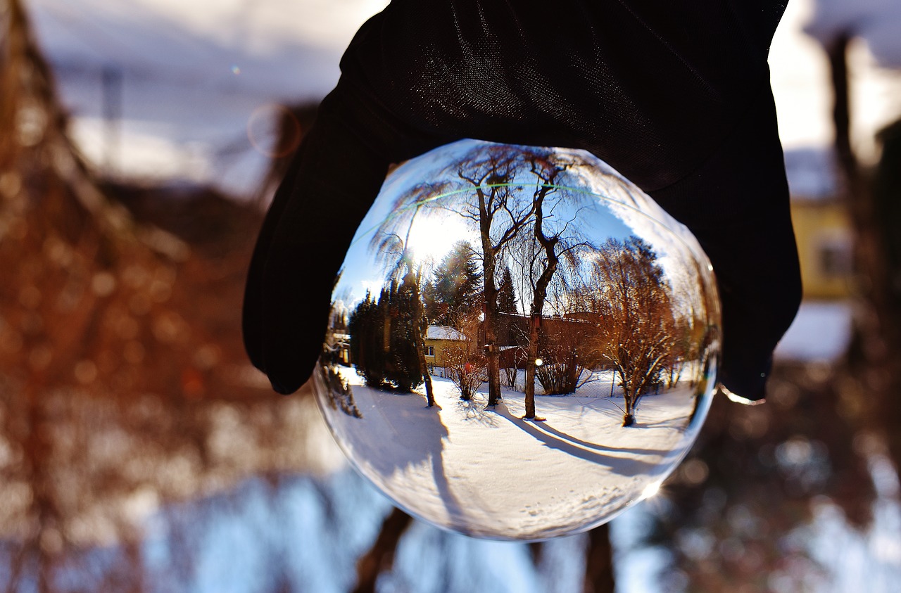 winter snow garden free photo