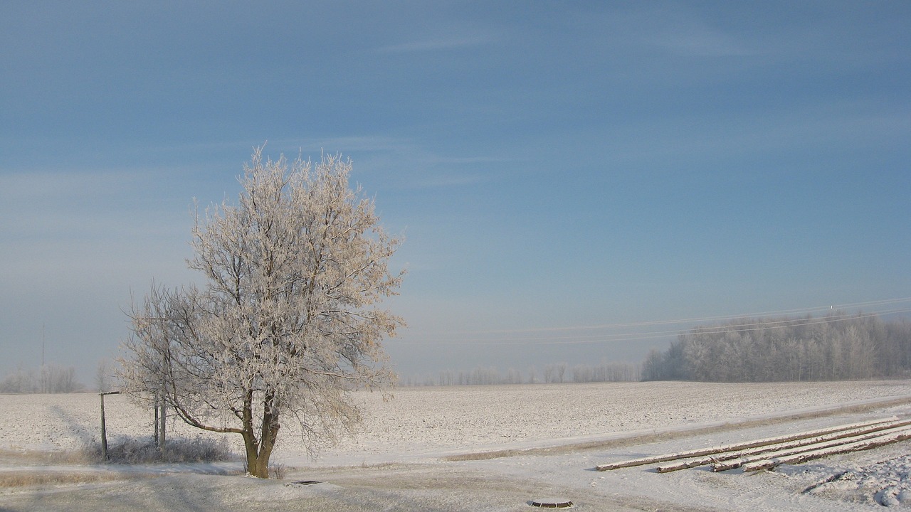 winter snow québec free photo