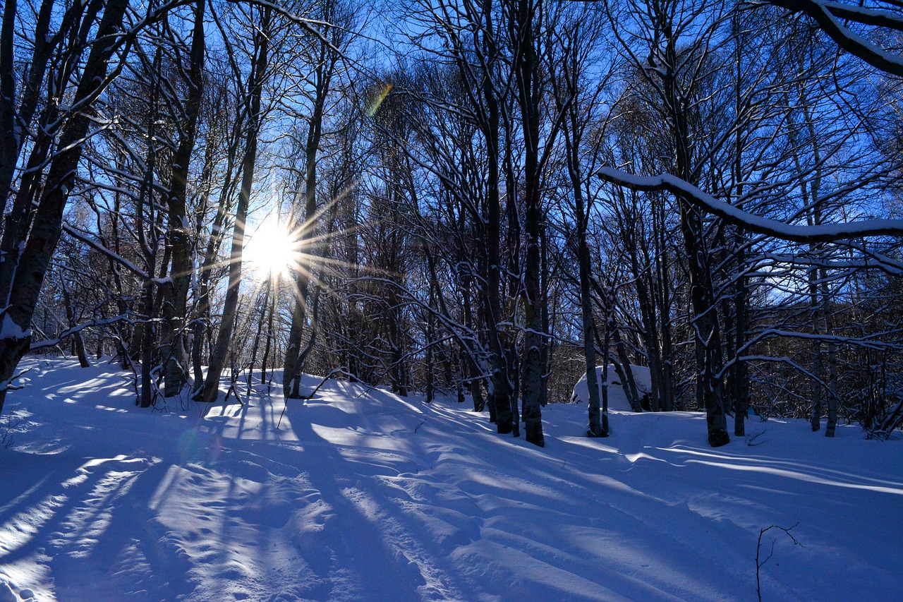 winter mountain sunshine free photo