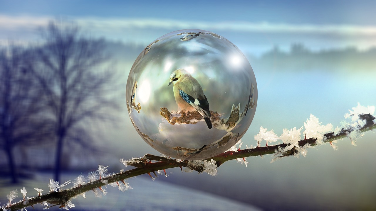 winter soap bubble abstract free photo