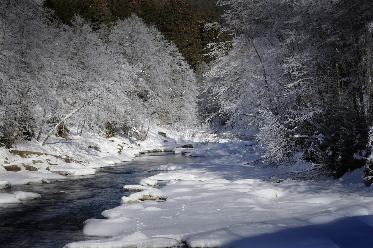 winter ripe landscape free photo