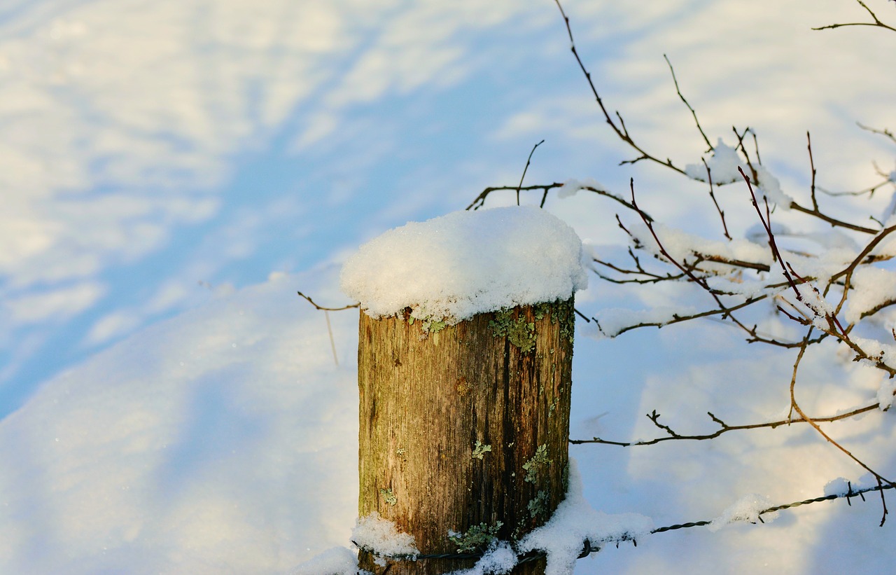 winter fence post snowy free photo