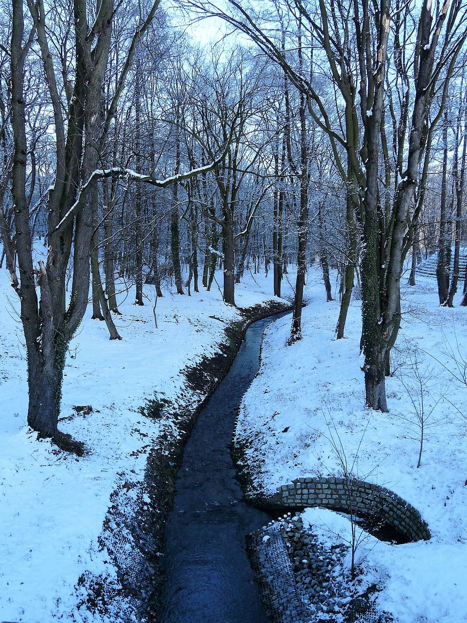 winter snow park free photo