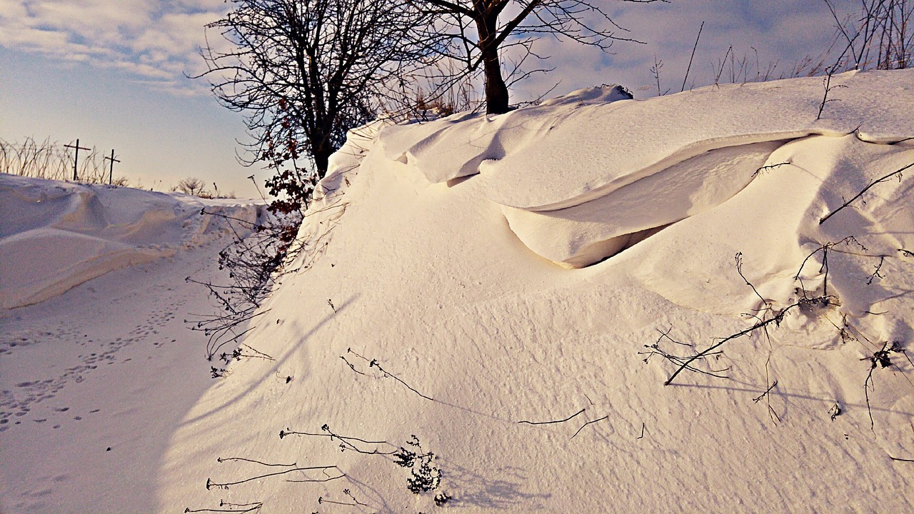 winter snow poland free photo