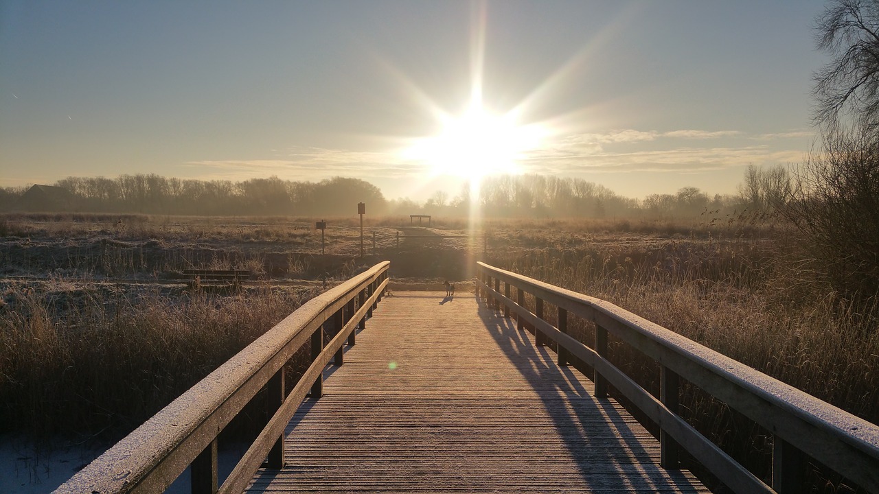 winter sun landscape free photo