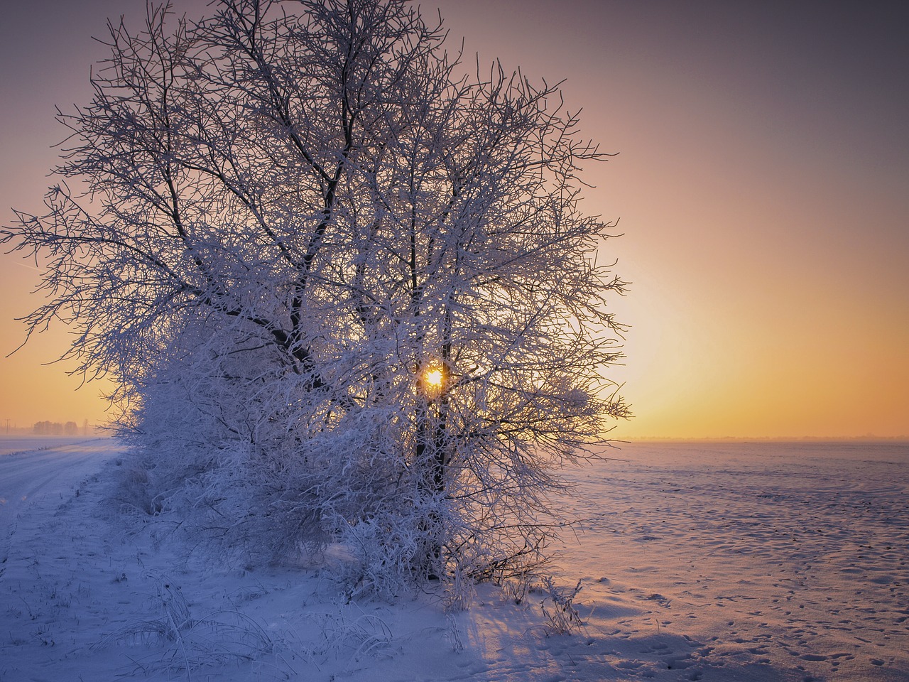 winter snow sunrise free photo