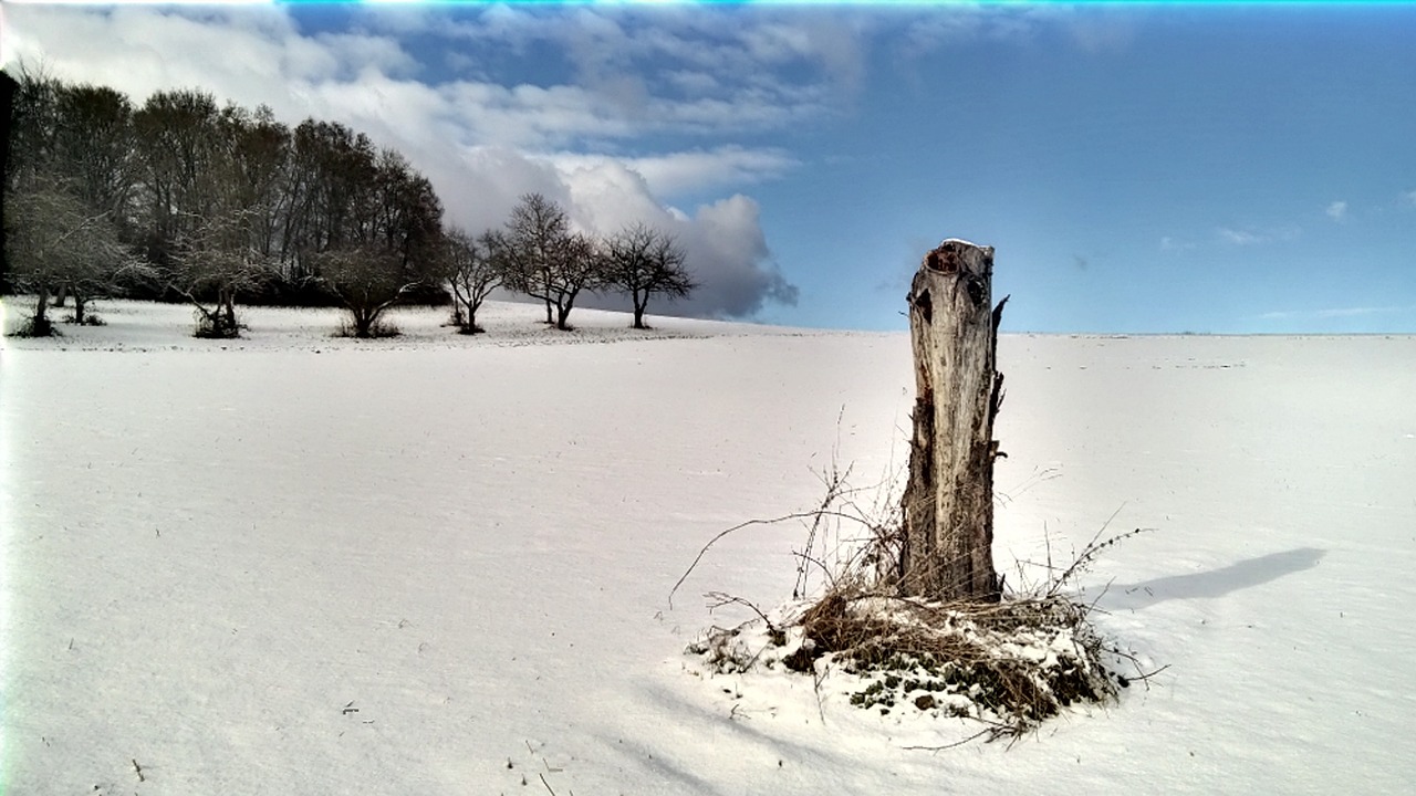 winter snow schneelanschaft free photo