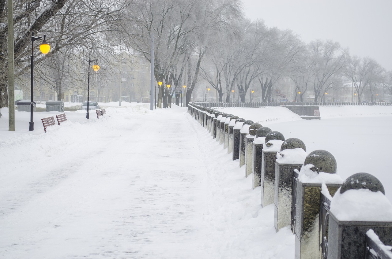 winter quay railing free photo