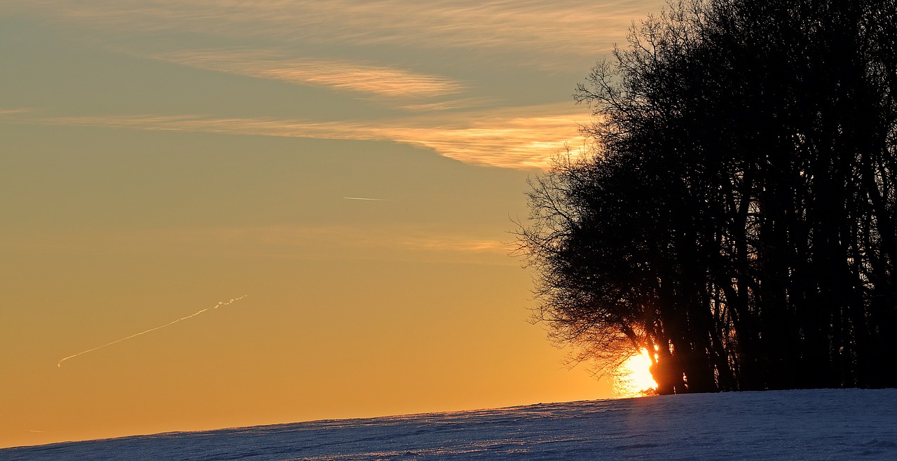 winter evening sun snow free photo