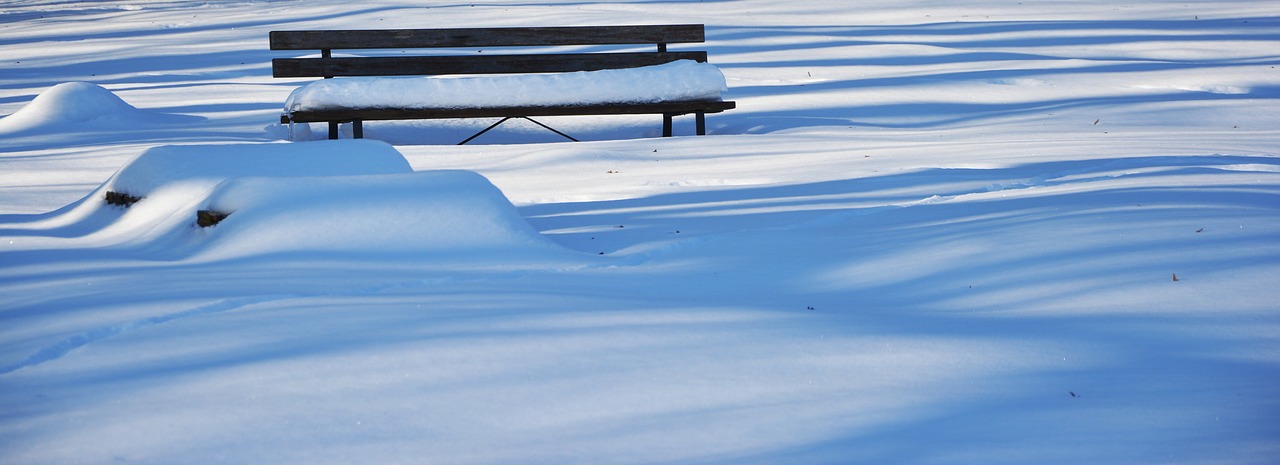 winter snow bank free photo