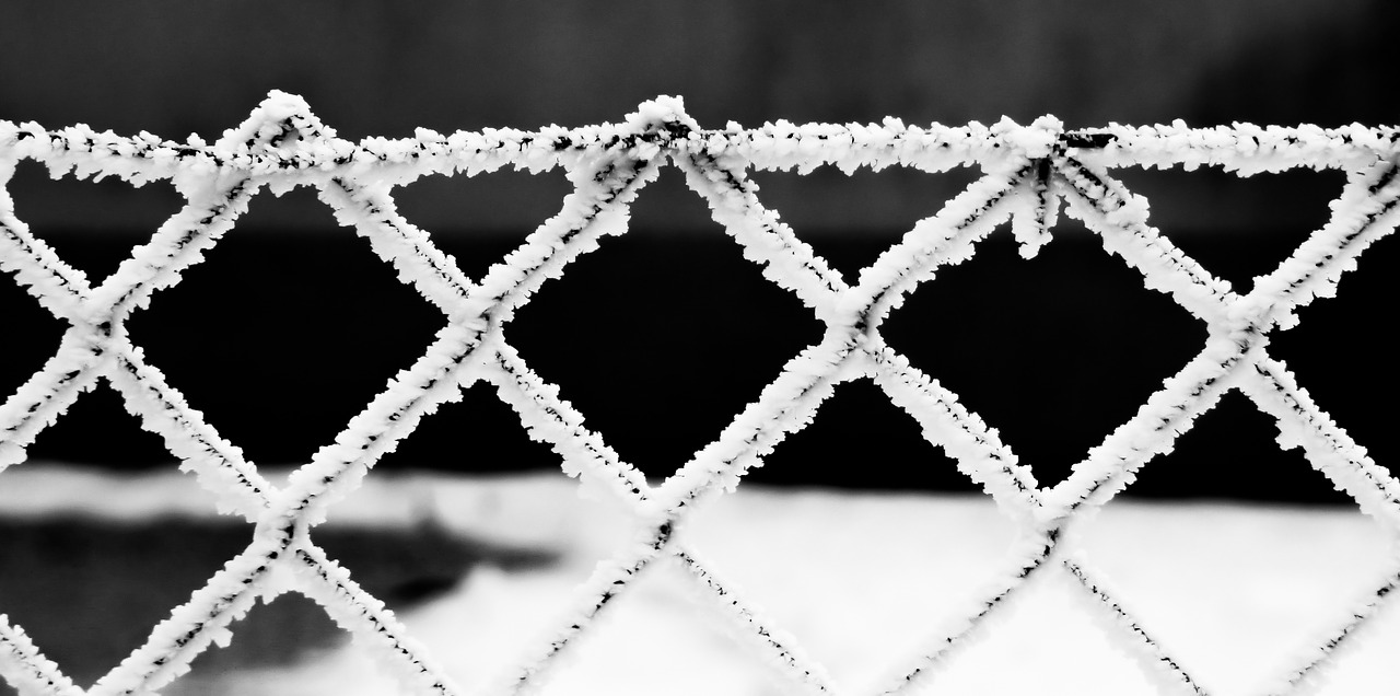 winter fence snowy free photo