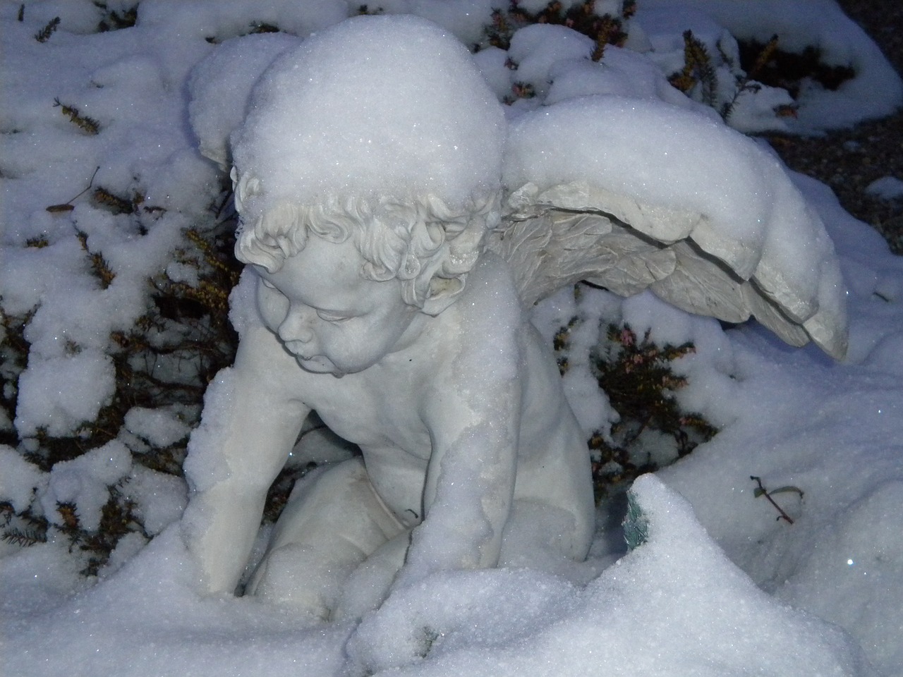 winter angel snow free photo