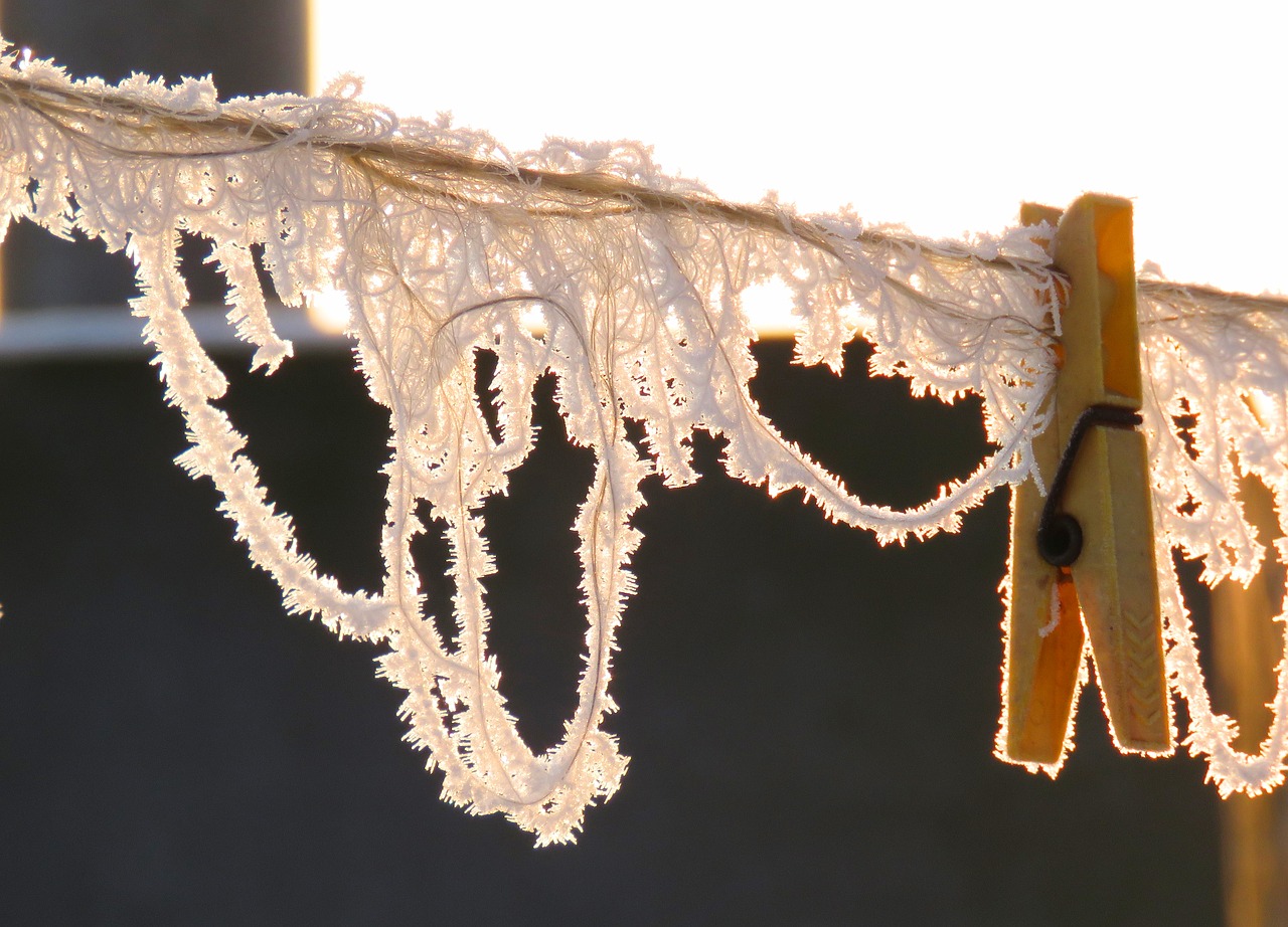 winter frost binder free photo