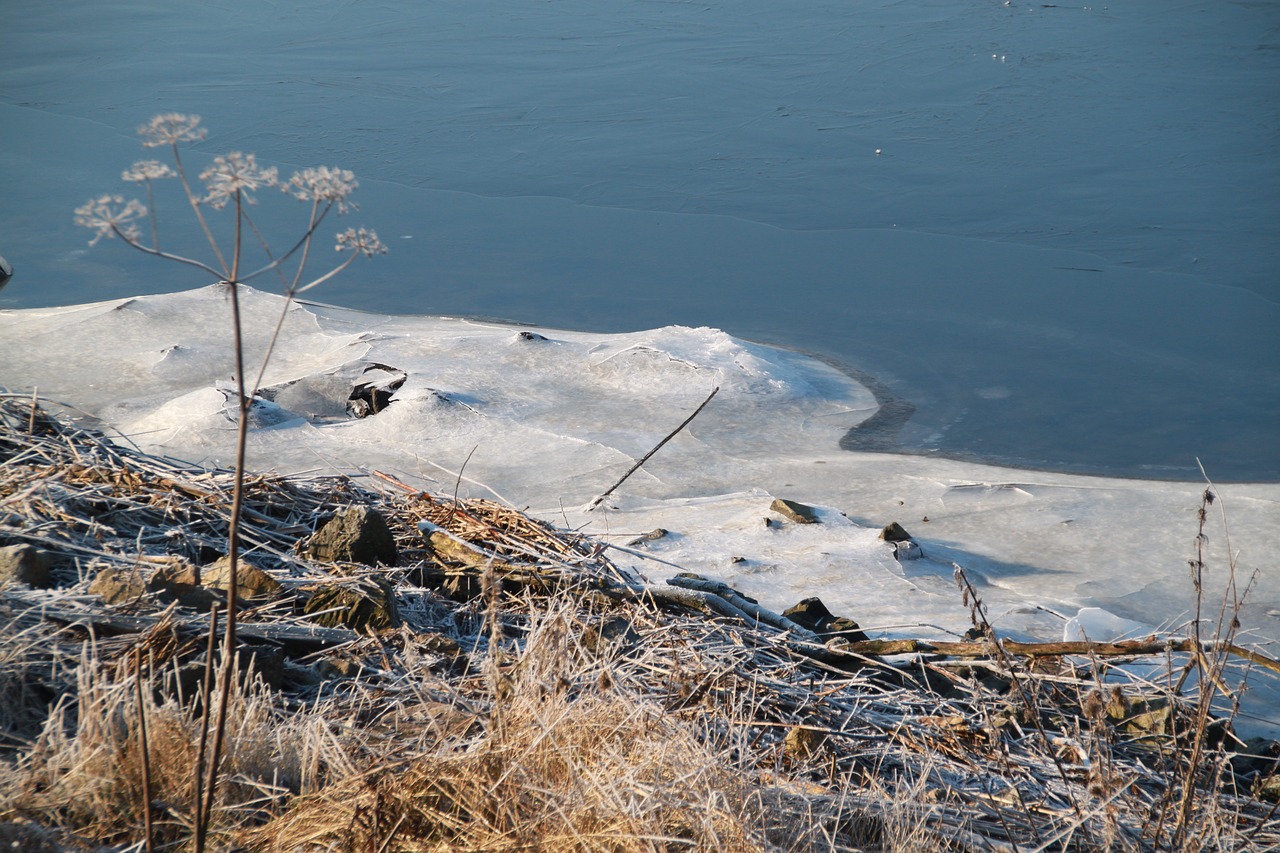 winter ice snow free photo