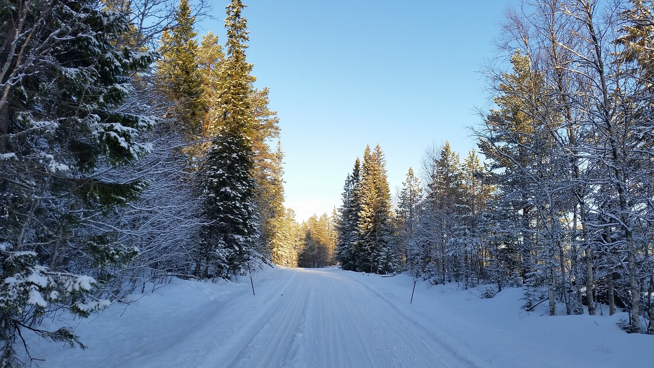 winter winter landscapes snow free photo