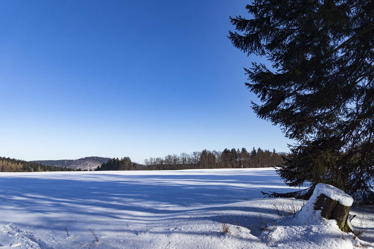 winter ice frost free photo