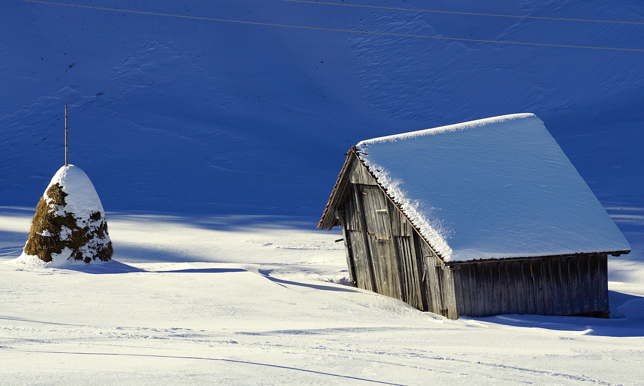 winter barn snow free photo