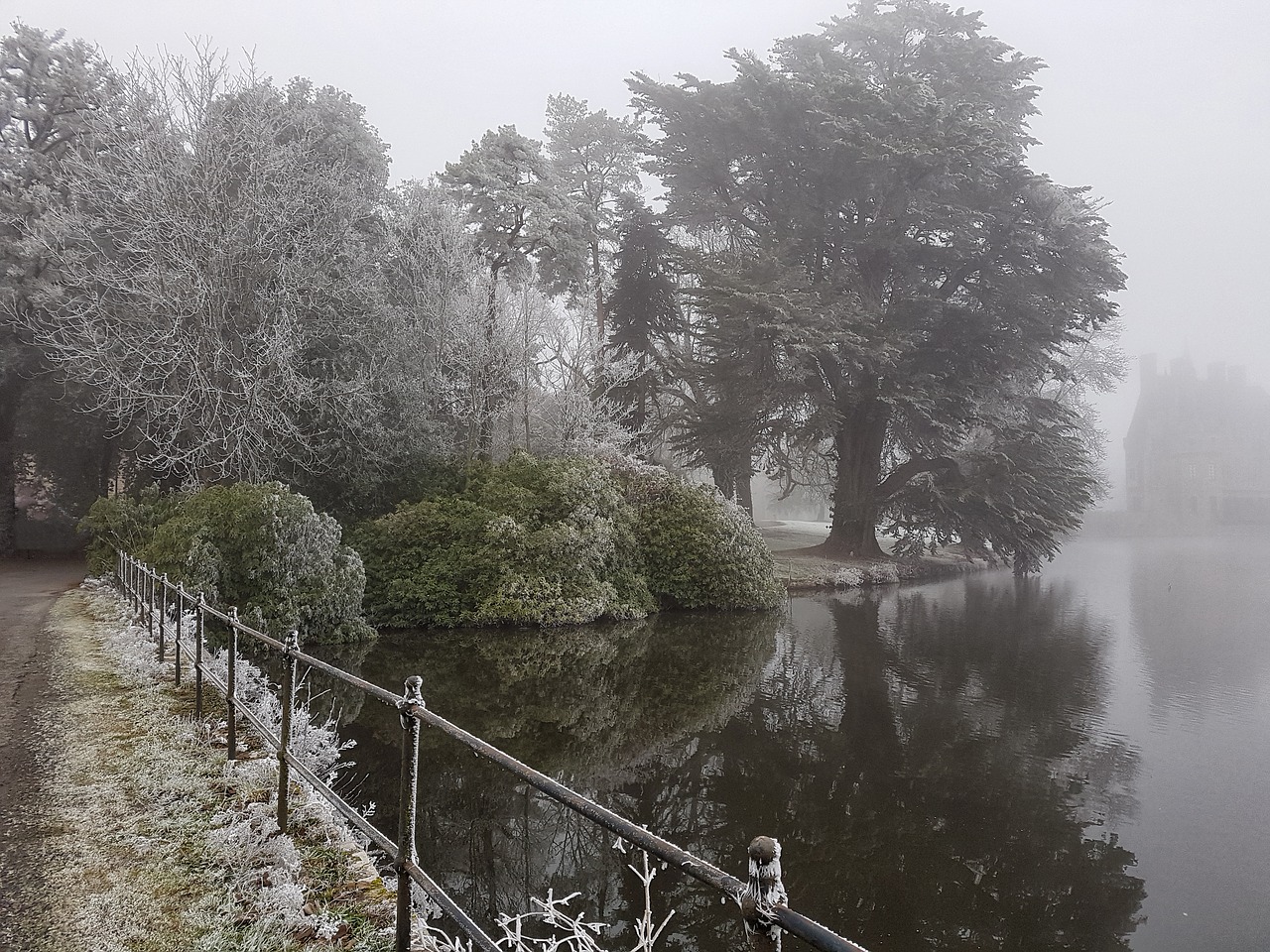 winter fog landscape free photo