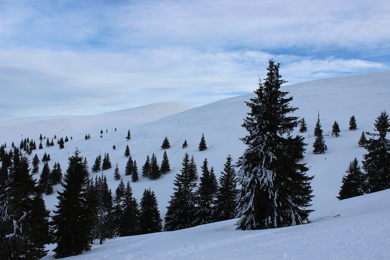 winter sky snow free photo