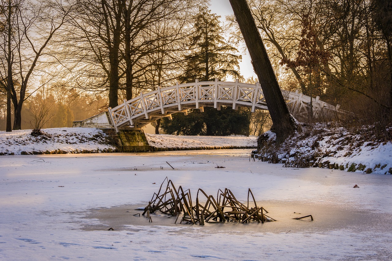 winter park park wörlitz free photo