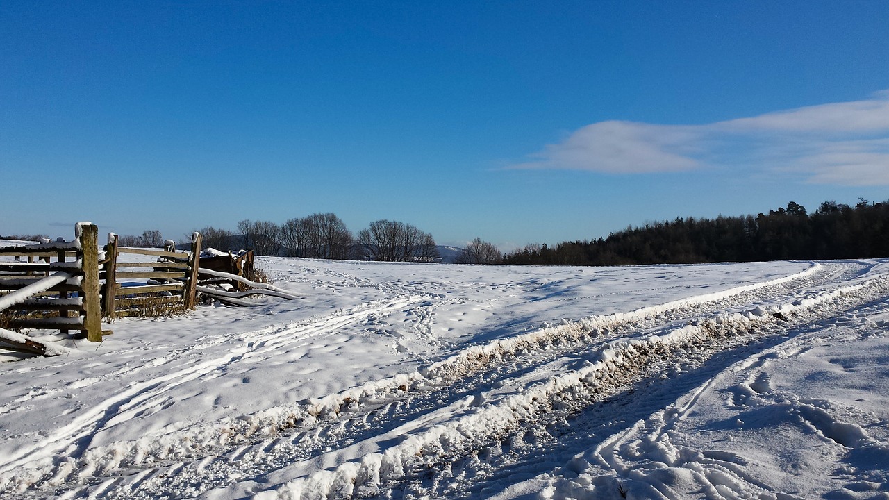 winter traces snow free photo