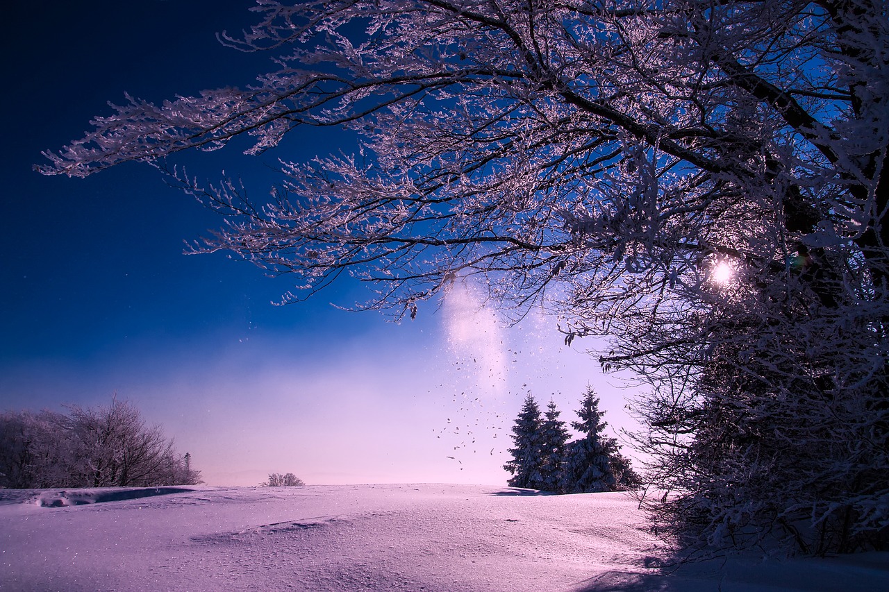 winter snow sunset free photo