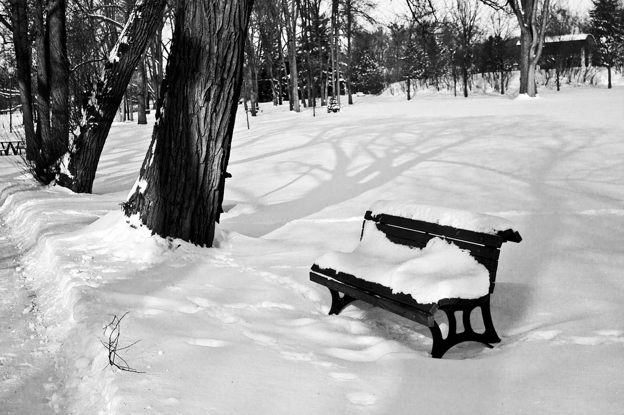 winter park white free photo