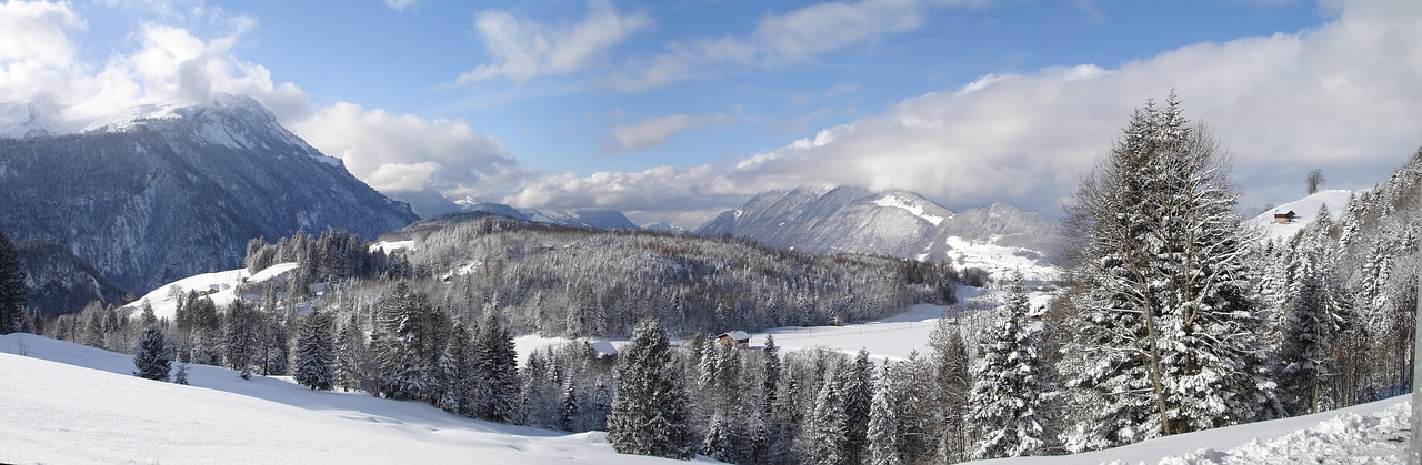 winter wintry panorama free photo