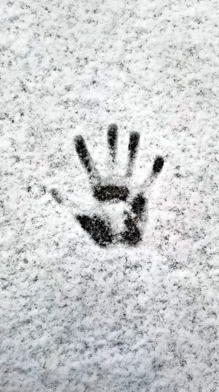 winter snow handprint free photo