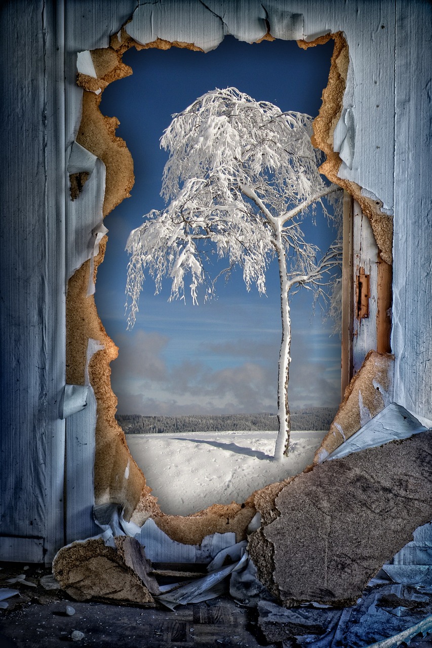 winter tree wall free photo
