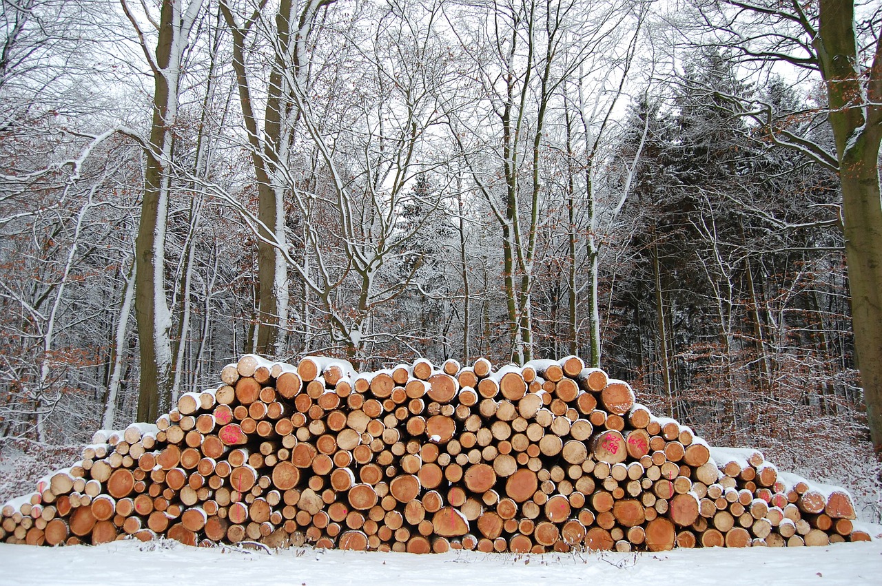 winter wood stack free photo