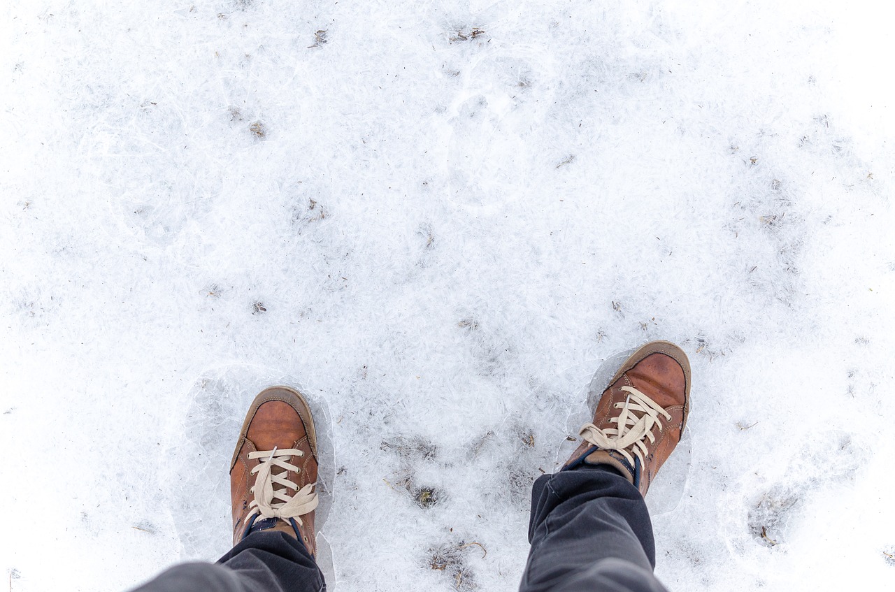 winter snow frost free photo