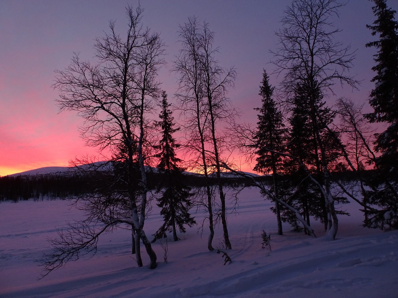 winter finland lapland free photo