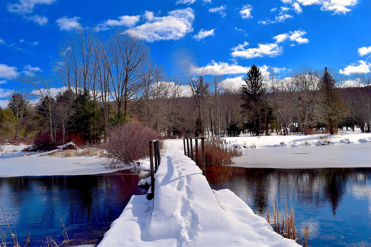 winter lake ice free photo